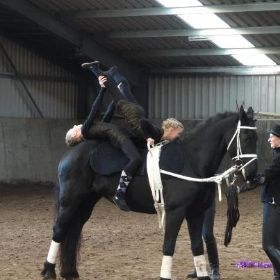 voltige show 2012!.jpg